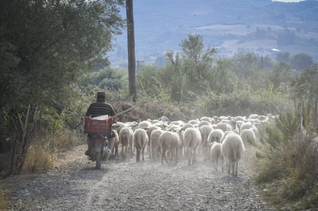 Ξεβλάχεμα: Μια ευγενική προσφορά του χρεοκοπημένου εκδότη