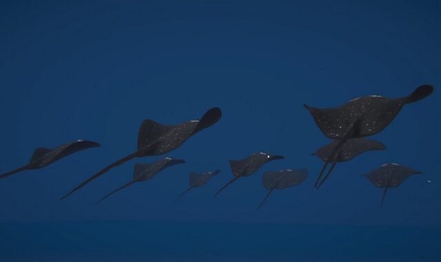 Φονικό σαλάχι: Η Τουρκία κατασκευάζει νέο υπερόπλο για να καταστρέφει τα πλοία του εχθρού