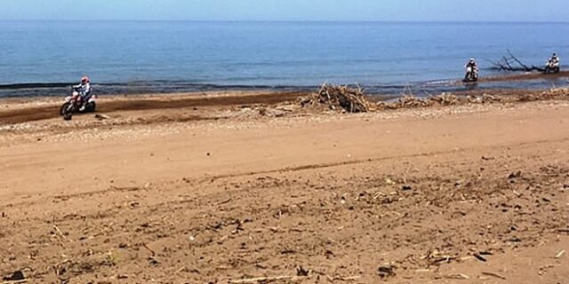 Ηλεία-Μεσσηνία: Αγώνες με μηχανές και γουρούνες στις φωλιές των Καρέτα-Καρέτα