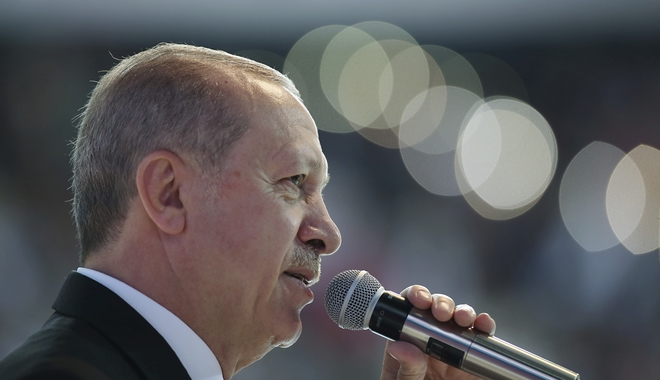 Στην πολιτική ατζέντα Ερντογάν η άγρια κακοποίηση του κουταβιού στην Τουρκία