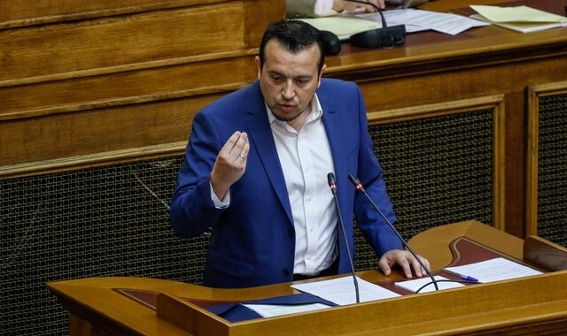 Ν. Παππάς: Επικίνδυνο το αίτημα για εκλογές τώρα