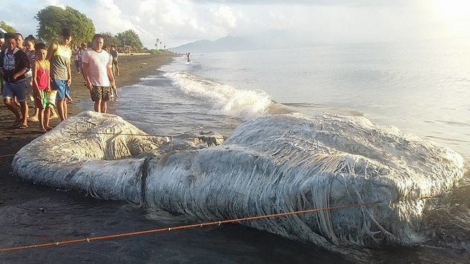 Τρομακτικό “μαλλιαρό” πλάσμα ξεβράστηκε σε ακτή των Φιλιππίνων