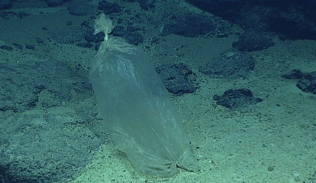 Πλαστικά βρέθηκαν ακόμη και στο βαθύτερο σημείο των ωκεανών, στα 10.898 μέτρα