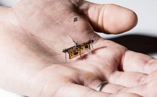 Πέταξε το Robofly, το πρώτο ασύρματο ρομποτικό έντομο