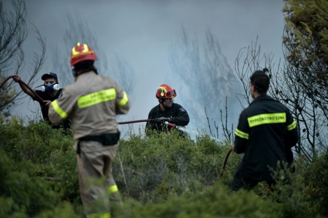 Πλήθος αρχαίων αντικειμένων βρέθηκε σε σακούλες απορριμμάτων στην φωτιά στις Λιβανάτες