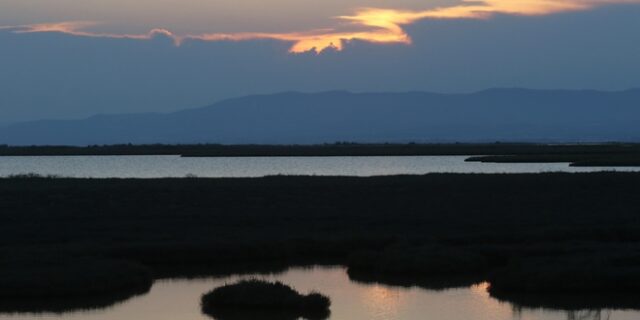 Σε εξέλιξη επιχείρηση απεγκλωβισμού μεταναστών στο Δέλτα του Έβρου