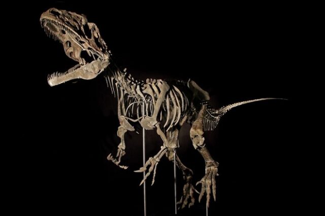 Μυστηριώδης σκελετός δεινοσαύρου πωλήθηκε για 2,3 εκατ. δολάρια