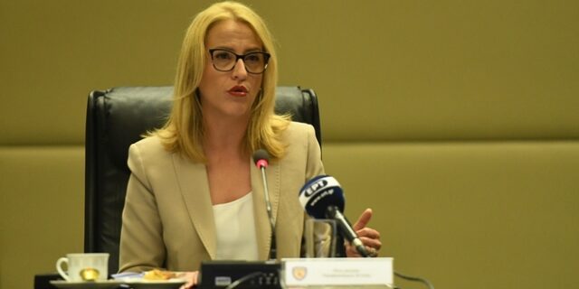 Δούρου: Συνέργειες για την αντιμετώπιση της κλιματικής αλλαγής