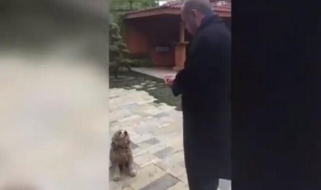 Βίντεο: Ο Ερντογάν ταΐζει ένα σκύλο αγγούρι και γίνεται viral