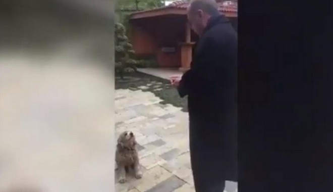 Βίντεο: Ο Ερντογάν ταΐζει ένα σκύλο αγγούρι και γίνεται viral