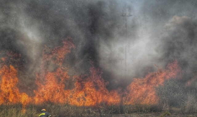 Νέα φωτιά κοντά σε σπίτια στην Πέτα Κερατέας