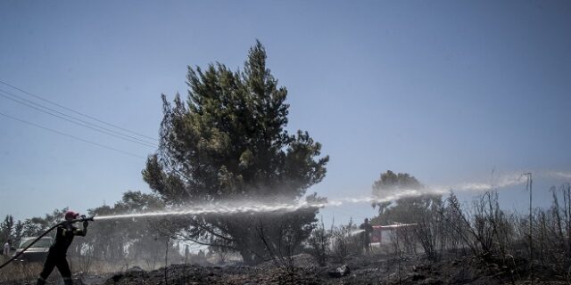Υπό μερικό έλεγχο η φωτιά στο άλσος Συγγρού