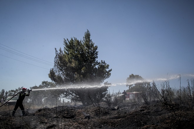 Υπό μερικό έλεγχο η φωτιά στο άλσος Συγγρού