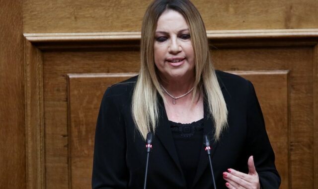 Γεννηματά προς Ευρωπαίους Σοσιαλιστές: Δεν δεχόμαστε υποδείξεις