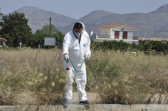 Μπασκόζος: Προστασία για τον ιό του Δυτικού Νείλου είναι η αποφυγή του τσιμπήματος