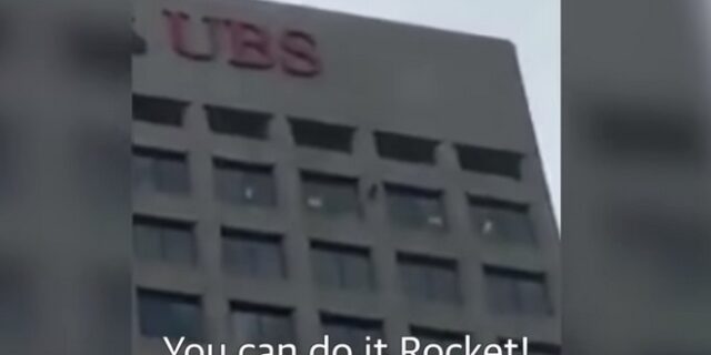 Ατρόμητο ρακούν σκαρφαλώνει σε ουρανοξύστη – Και ναι, έφτασε στην κορυφή