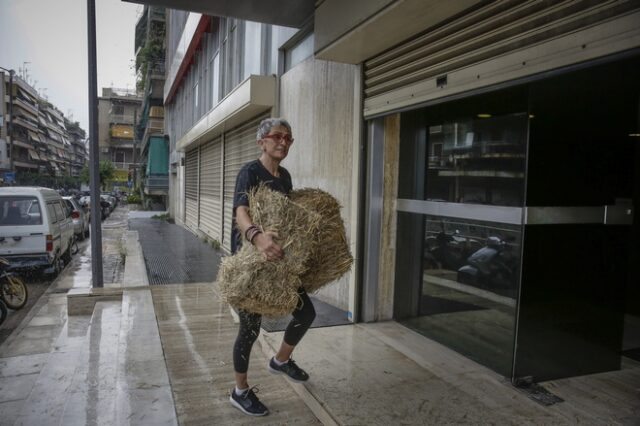 Ακτιβιστές πέταξαν σανό στα γραφεία των ΑΝΕΛ