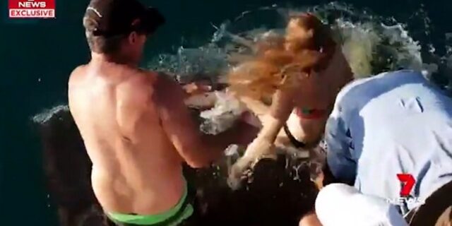 Στα σαγόνια του καρχαρία: Την άρπαξε ενώ πήγαινε να τον ταΐσει