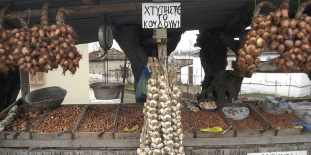 Στην Ορεστιάδα το Ρεκόρ Γκίνες για τη μεγαλύτερη πλεξούδα από σκόρδα