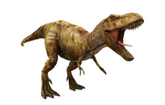 Αποκάλυψη: Ο τρομερός Τυραννόσαυρος δεν μπορούσε να…βγάλει γλώσσα