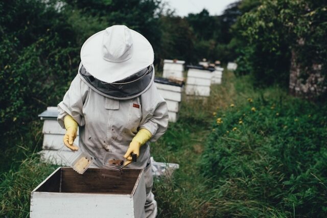 Οικονομική στήριξη της νομαδικής μελισσοκομίας