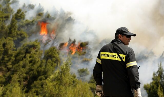 Χανιά: Σε εξέλιξη φωτιά κοντά στο χωριό Σπίνα