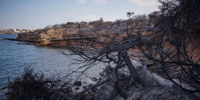 ΚΚΕ: H τακτική της “καμμένης γης” δεν πείθει κανέναν
