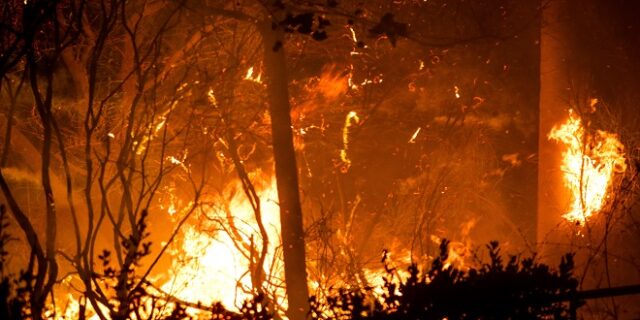 Εως και 1600 βαθμοί Κελσίου αναπτύχθηκαν στην φωτιά στο Μάτι
