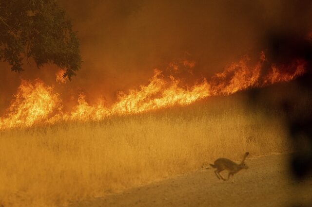 ΗΠΑ: Ένας νεκρός, μεγάλες καταστροφές από φωτιά στην Καλιφόρνια