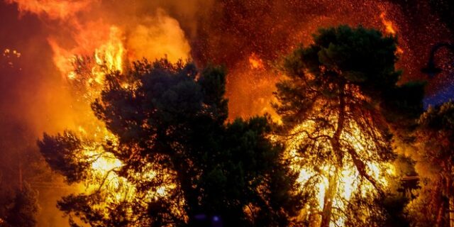 Φωτιές στην Αττική: Ένας νεκρός στη Ραφήνα. Στο νοσοκομείο 25 τραυματίες