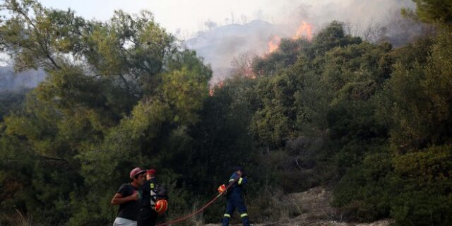 Φωτιές σε Ζάκυνθο και Ρέθυμνο – Υψηλός κίνδυνος πυρκαγιάς Σάββατο και Κυριακή
