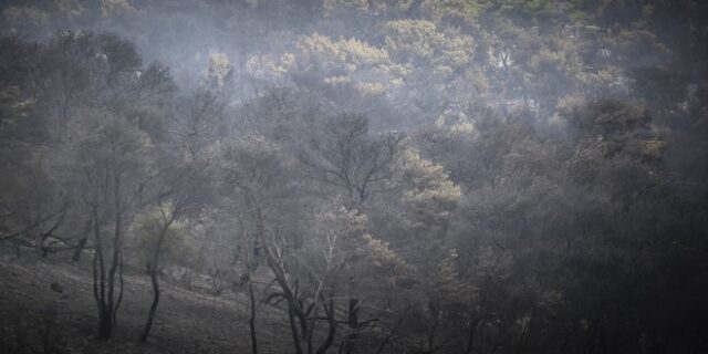 Αναζωπυρώθηκε η πυρκαγιά στην Πάρο και πέρασε μέσα στο ΧΥΤΑ