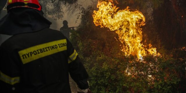 Φωτιά στην Κινέτα: Κόλαση και ολοκληρωτική καταστροφή-Πέρασε την Εθνική Οδό η φωτιά