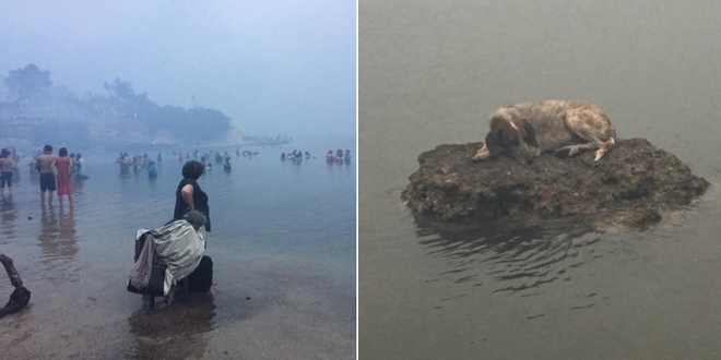 Εικόνες που συγκλονίζουν: Έπεφταν στη θάλασσα για να σωθούν από τη φωτιά