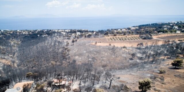Δήμαρχος Πεντέλης: Από κομμένο καλώδιο της ΔΕΗ ξεκίνησαν όλα