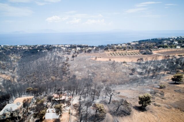 Δήμαρχος Πεντέλης: Από κομμένο καλώδιο της ΔΕΗ ξεκίνησαν όλα