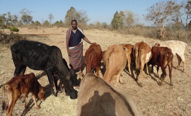 Στην Αιθιοπία όταν πεθαίνει μία αγελάδα, πεθαίνει και η ελπίδα