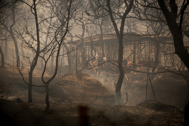 Φωτιά στη Κινέτα: Σε οικισμούς μπήκαν οι φλόγες  – Απομακρύνονται οι κάτοικοι