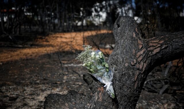 Φωτιά στο Μάτι: Στους 14 οι αγνοούμενοι – 70 έχουν ταυτοποιηθεί