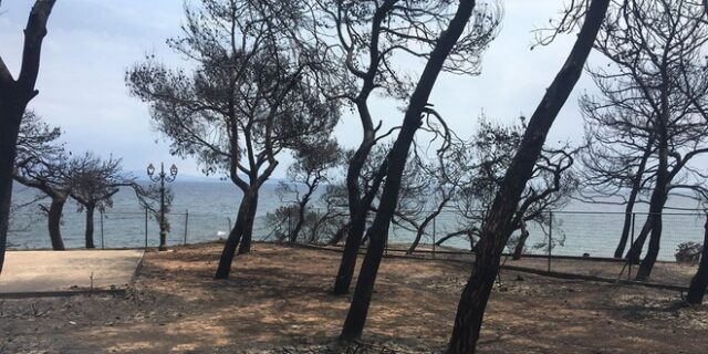 Συγκλονιστική μαρτυρία από τις φωτιές: “Ή μαζί θα καούμε ή μαζί θα σωθούμε”