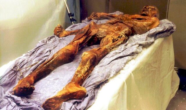 Ότζι, ο άνθρωπος των πάγων: Τι έφαγε πριν πεθάνει, 5.300 χρόνια πριν