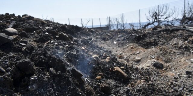 Πρώην δήμαρχος Νέας Μάκρης: Από το 2006 προσπαθήσαμε να μπει το Μάτι σε σχέδιο πόλεως
