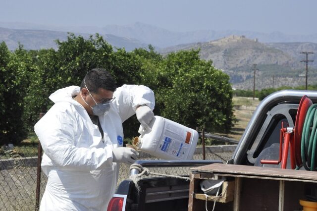 Δύο νέα κρούσματα του ιού του Δυτικού Νείλου στην Κεντρική Μακεδονία