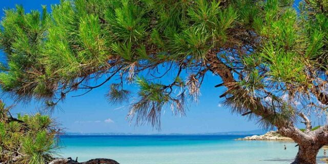 Σαν τη Χαλκιδική δεν έχει – αλλά ποια είναι η καλύτερη παραλία;