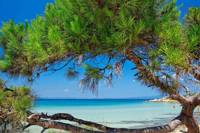 Σαν τη Χαλκιδική δεν έχει – αλλά ποια είναι η καλύτερη παραλία;