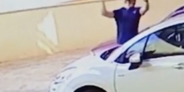 Ήρωας: Έπιασε σκυλί που έπεφτε από τον ένατο όροφο