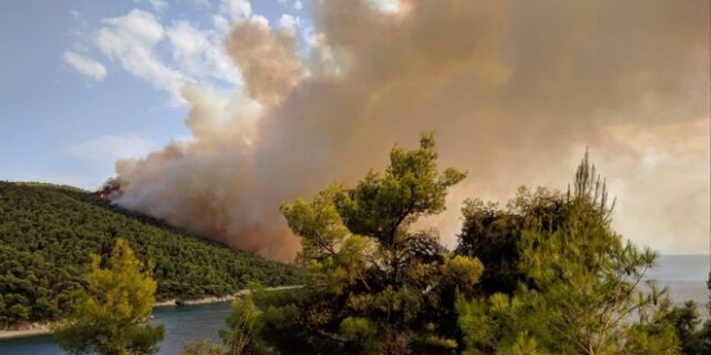 Σκόπελος: Χωρίς ενεργό μέτωπο η φωτιά