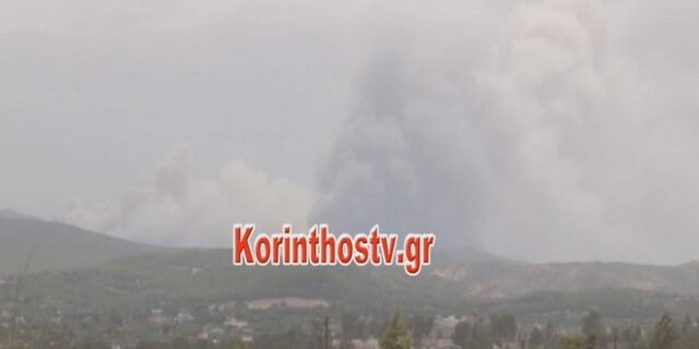 Δήμαρχος Μεγαρέων για φωτιά στην Κινέτα: Οι φλόγες πλησιάζουν τον οικισμό Γαλήνη