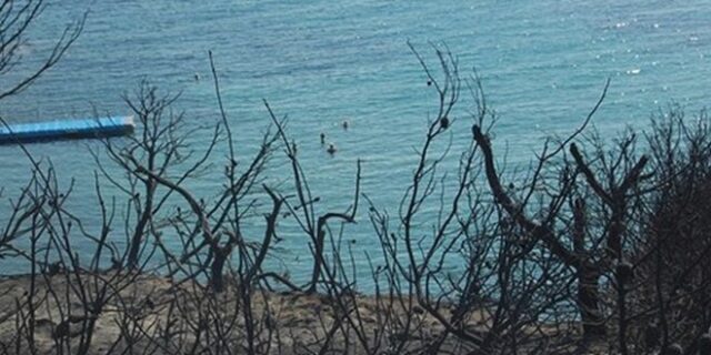 Κόκκινο Λιμανάκι: Αυτοί που βούτηξαν στον τόπο της καταστροφής, δεν είχαν πάει για μπάνιο