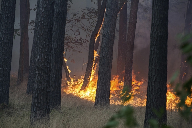 Γερμανία: Μεγάλη δασική πυρκαγιά στα νότια του Πότσδαμ – Εκκενώθηκαν κοινότητες